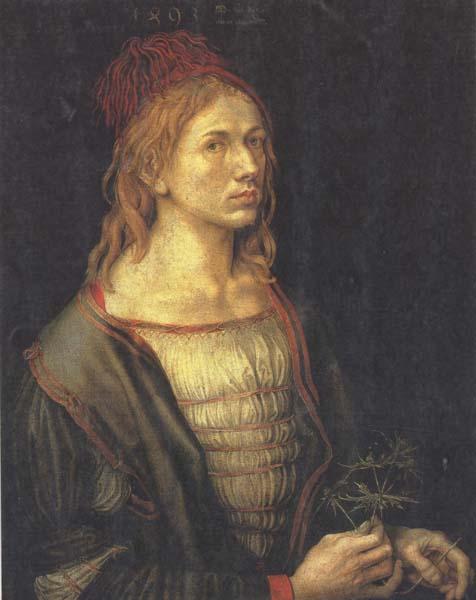 Albrecht Durer Self-Portrait (mk45) France oil painting art